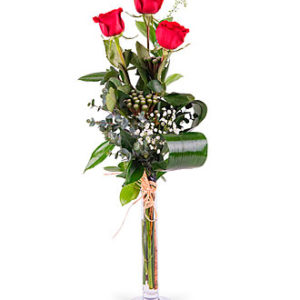 3 Long-stemmed Red Roses