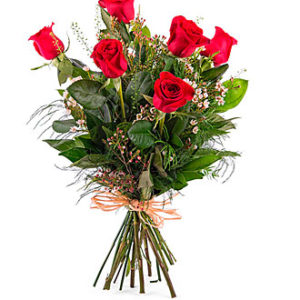 6 Long-stemmed Red Roses