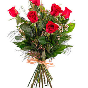 6 Long-stemmed Red Roses
