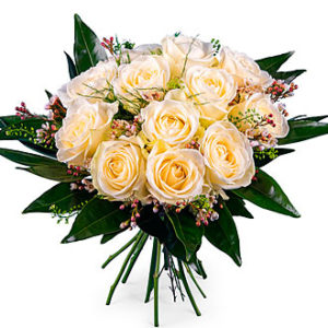 12 Short-stemmed White Ro