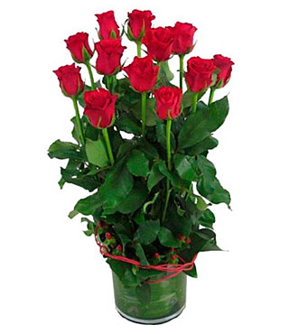 12 Red Roses In Vase