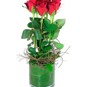 6 Red Roses In Vase