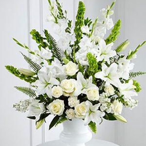 Morning Stars Arrangement