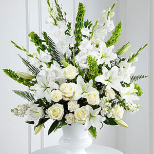 Morning Stars Arrangement