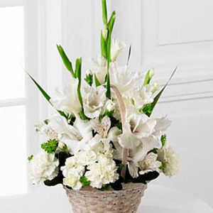 Morning Stars Arrangement