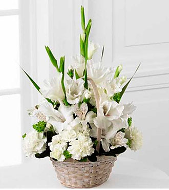 Morning Stars Arrangement