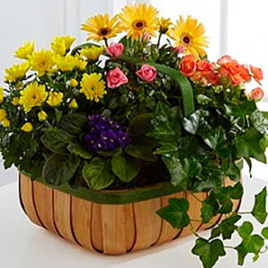 Gentle Blossoms Basket