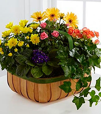 Gentle Blossoms Basket