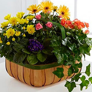Gentle Blossoms Basket
