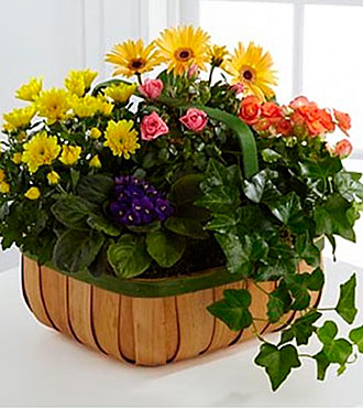 Gentle Blossoms Basket