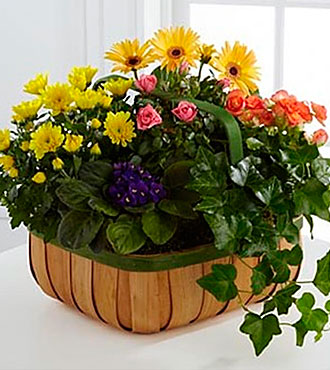 Gentle Blossoms Basket