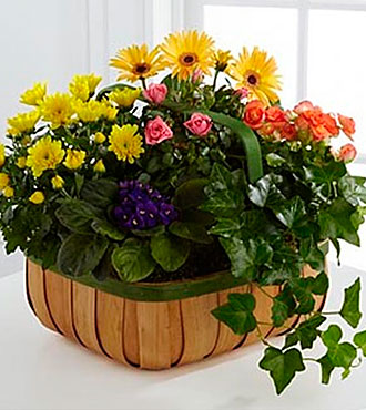 Gentle Blossoms Basket