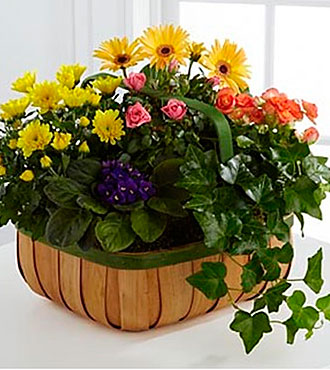 Gentle Blossoms Basket