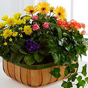 Gentle Blossoms Basket
