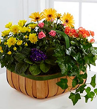 Gentle Blossoms Basket