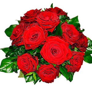 Tantalizing 12 Roses