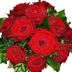 Tantalizing 12 Roses