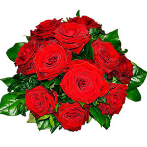 Tantalizing 12 Roses