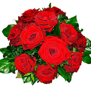 Tantalizing 12 Roses