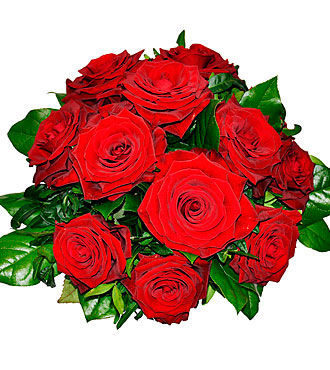 Tantalizing 12 Roses