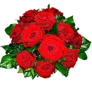 Tantalizing 12 Roses