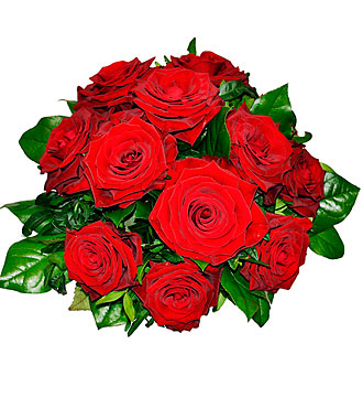 Tantalizing 12 Roses