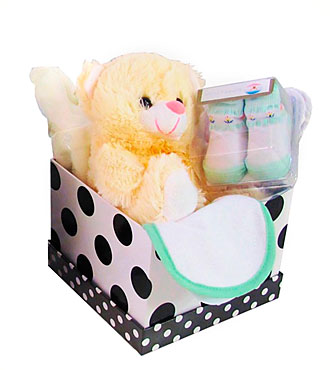 Baby Hamper Unisex