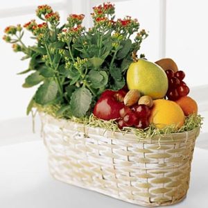 INTL- Fruits & Flowers