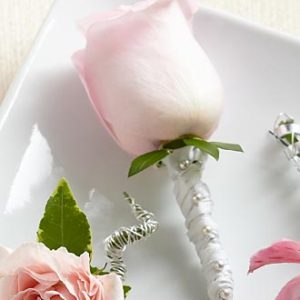 Boutonniere Rosa Rosa