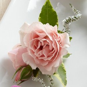 Boutonniere Mini Rosa