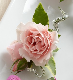 Boutonniere Mini Rosa