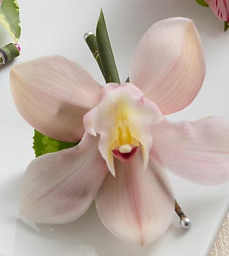 Pink Cymbidium Boutonniere