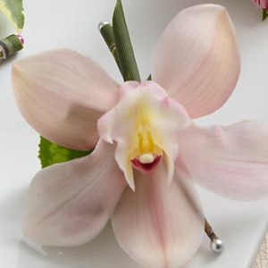 Boutonniere Cymbidium