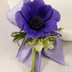 Pasión Morada