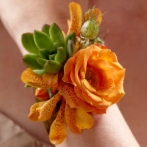 Amor Irresistible