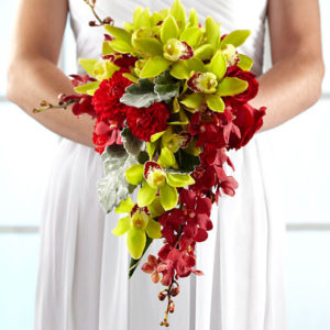 Orqudea Elegante