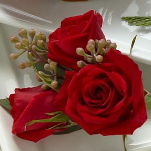 Mini Rosa