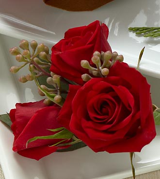Mini Rosa