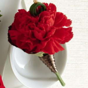 Clavel Rojo