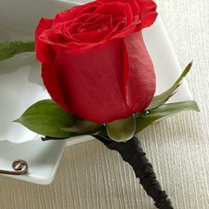 Rosa Roja