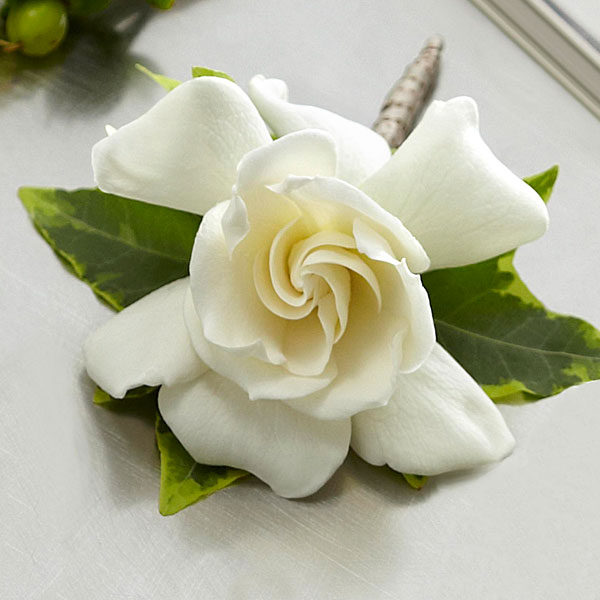 Boutonniere Gardenia