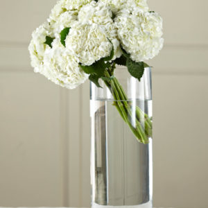 Hortensia Blanca Atada