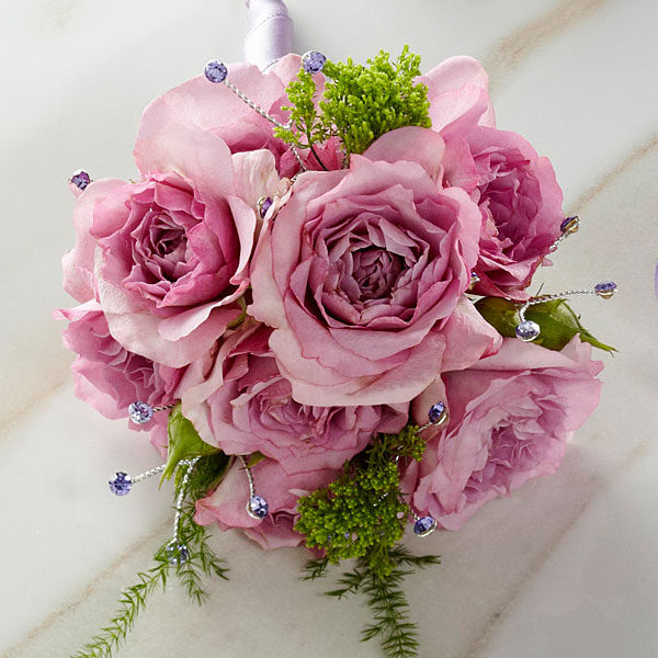 Rose Bloom