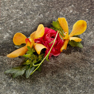 Fresh Love