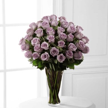 Rosas Lavanda E