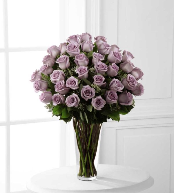 Rosas Lavanda E