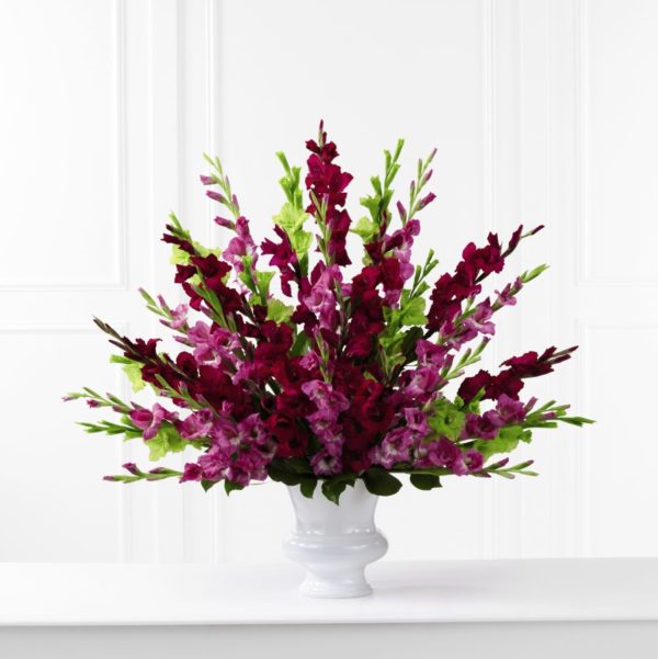 Ofrenda Solemne - Premium
