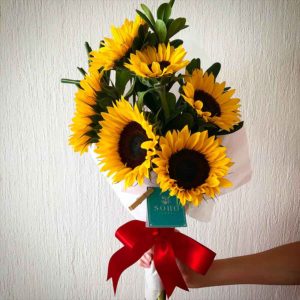 Destello de Amor