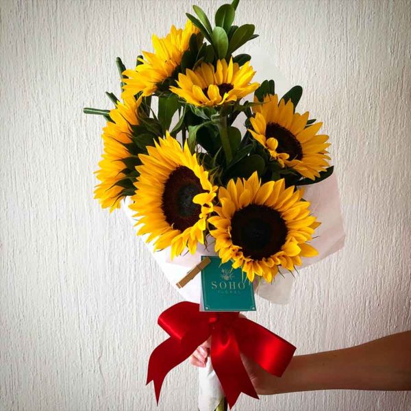 Destello de Amor