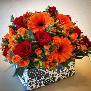 Jardin en caja